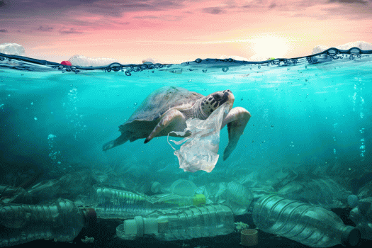 Unilever cutting plastics