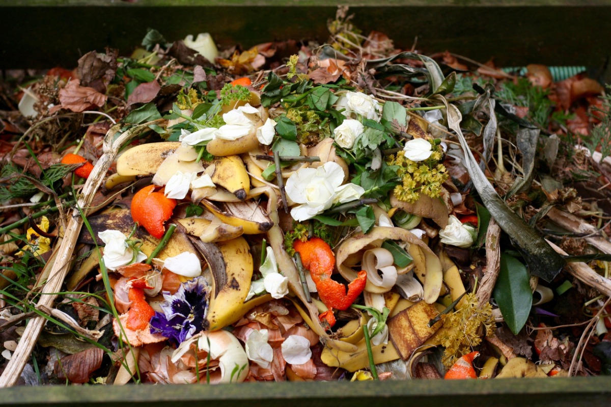 food waste